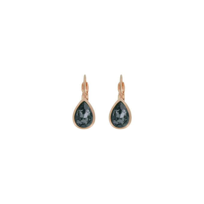 Nina Sm Euroback Earring
